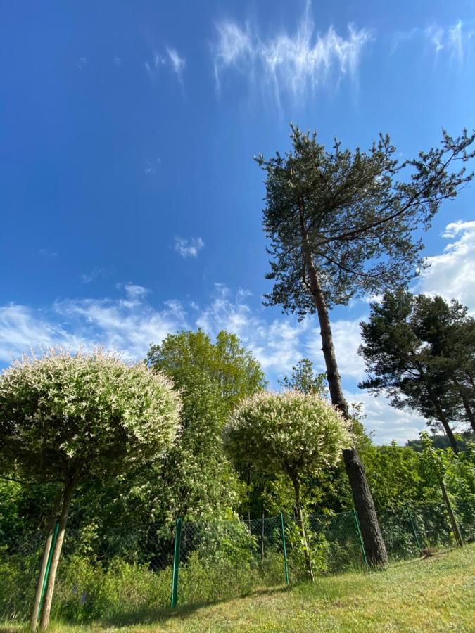 Domek Matylda- Kaszuby Βίλα Nowe Czaple  Εξωτερικό φωτογραφία